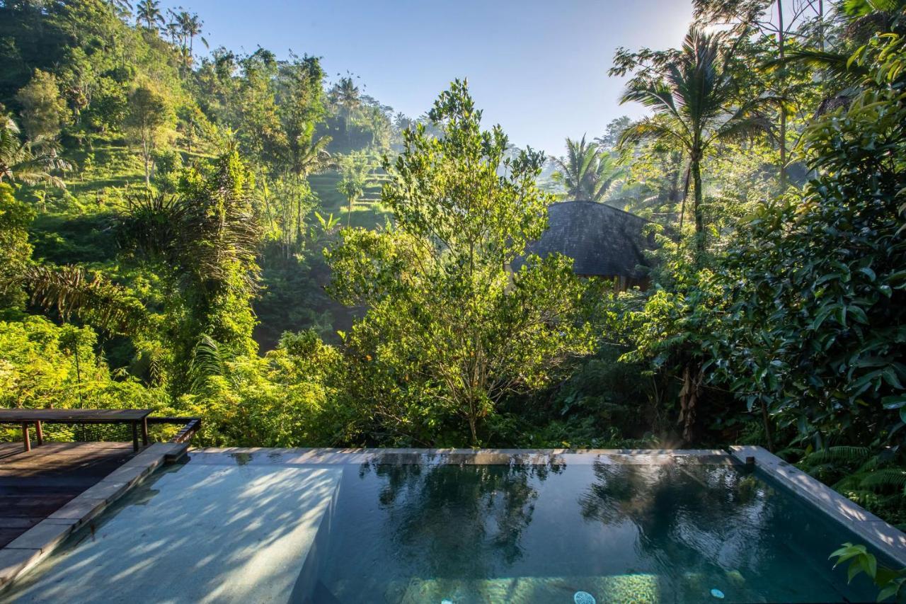Buahan, A Banyan Tree Escape Паянган Экстерьер фото